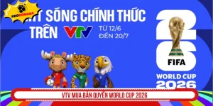 VTV mua bản quyền World Cup 2026