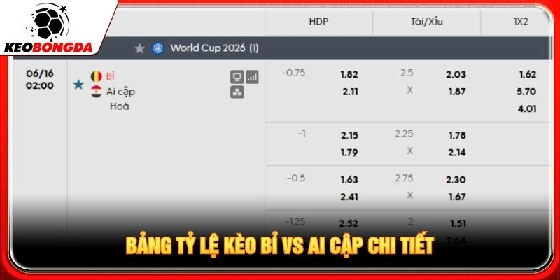Bảng tỷ lệ kèo Bỉ vs Ai Cập chi tiết