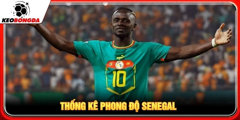 Thống kê phong độ Senegal