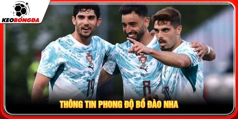 Thông tin phong độ Bồ Đào Nha