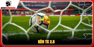 Kèo tx 2.5