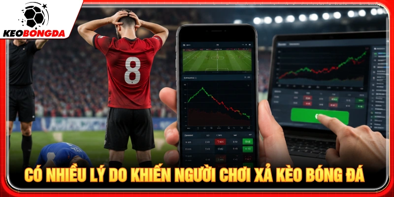 Lý do người chơi nên tìm hiểu xả kèo bóng đá