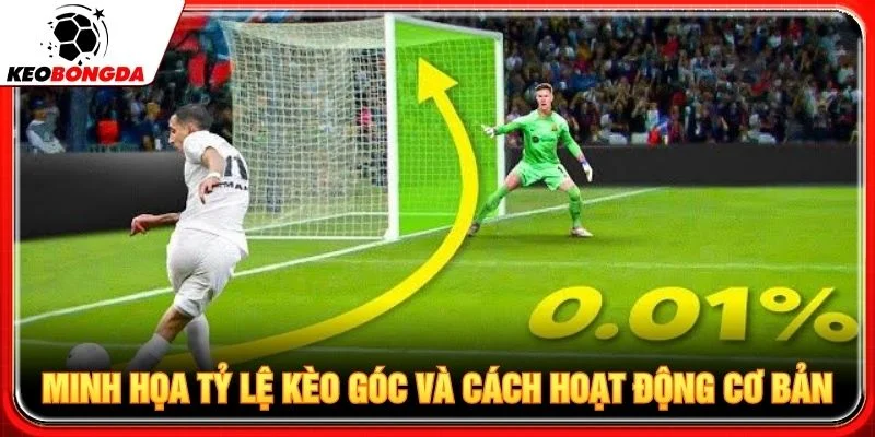 Minh họa tỷ lệ kèo góc và cách hoạt động cơ bản