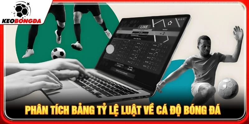 Phân tích bảng tỷ lệ luật về cá độ bóng đá
